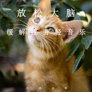 女厕撒尿㊙️免费看
